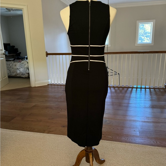 NWOT Anthropologie Maeve Daisy sheath dress - Picture 4 of 5